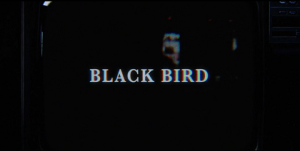 ดูหนังออนไลน์ BLACK BIRD: LIMITED SERIES (2022) เต็มเรื่อง HD
